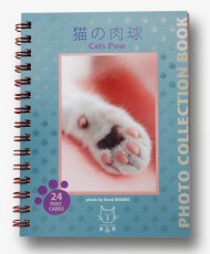 画像1: 板東寛司ポストカードBook 「猫の肉球」 (1)