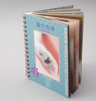 画像1: 板東寛司ポストカードBook 「猫の肉球」