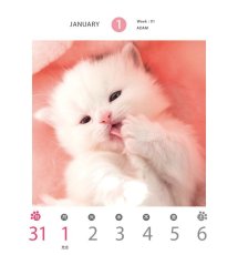 画像3: 週ちびめくり(猫)2024 (3)