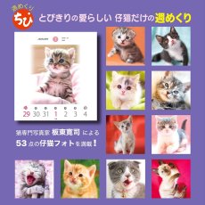 画像8: 週ちびめくり(猫)2025 (8)