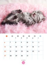 画像2: スリーピングCAT 2026 (2)