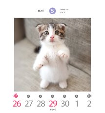 画像2: 週ちびめくり(猫)2026 (2)