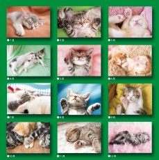 画像7: スリーピングCAT 2026 (7)