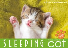 画像1: スリーピングCAT 2026 (1)